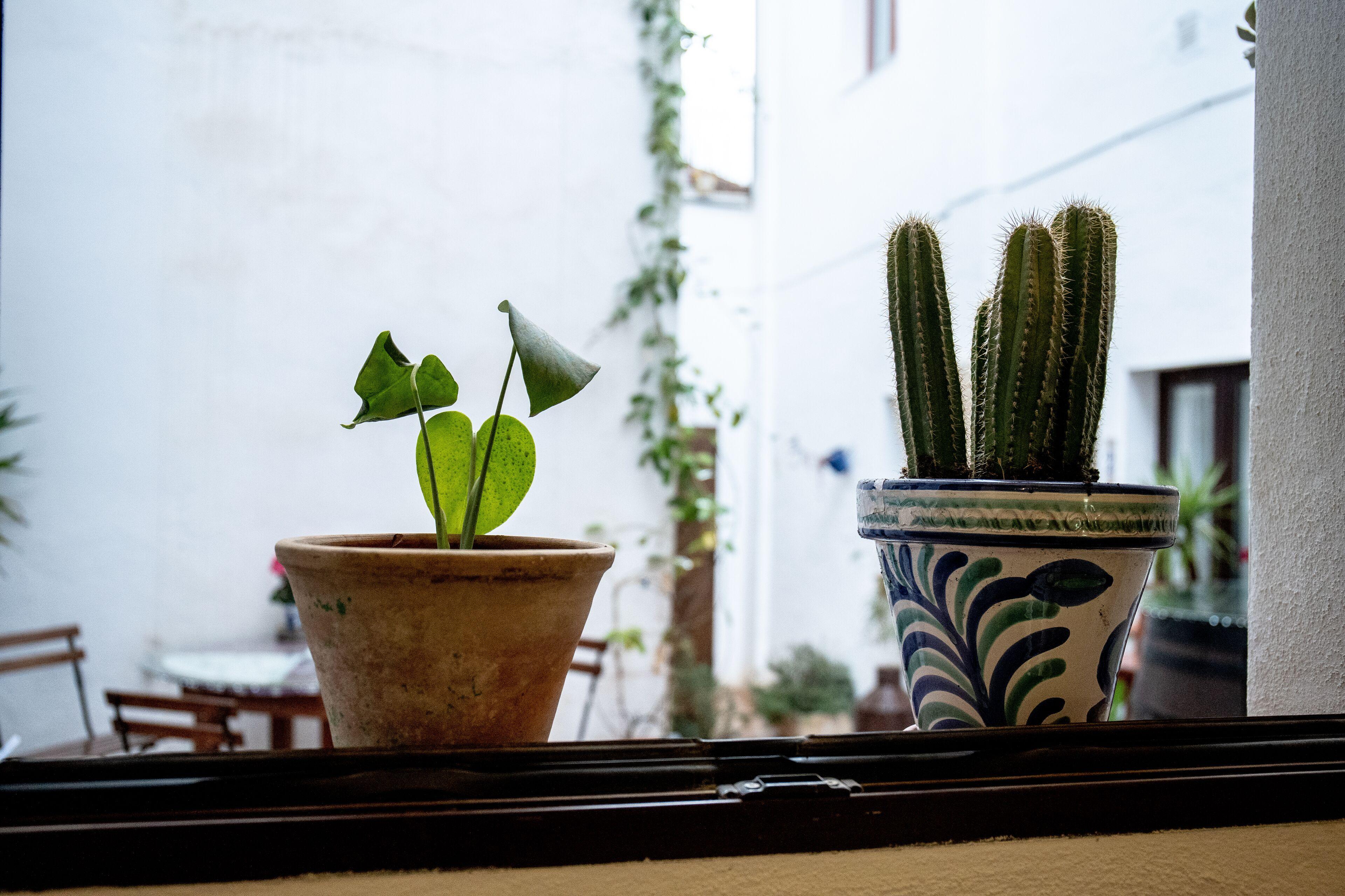 Casa Po — Photos 2
